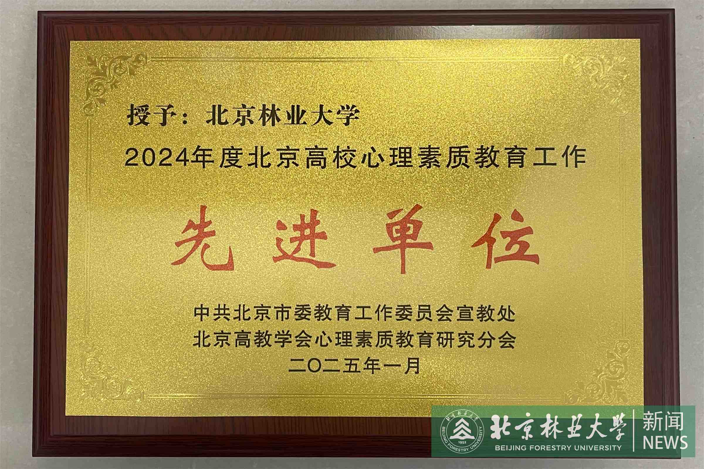 微信图片_20250114151920.jpg