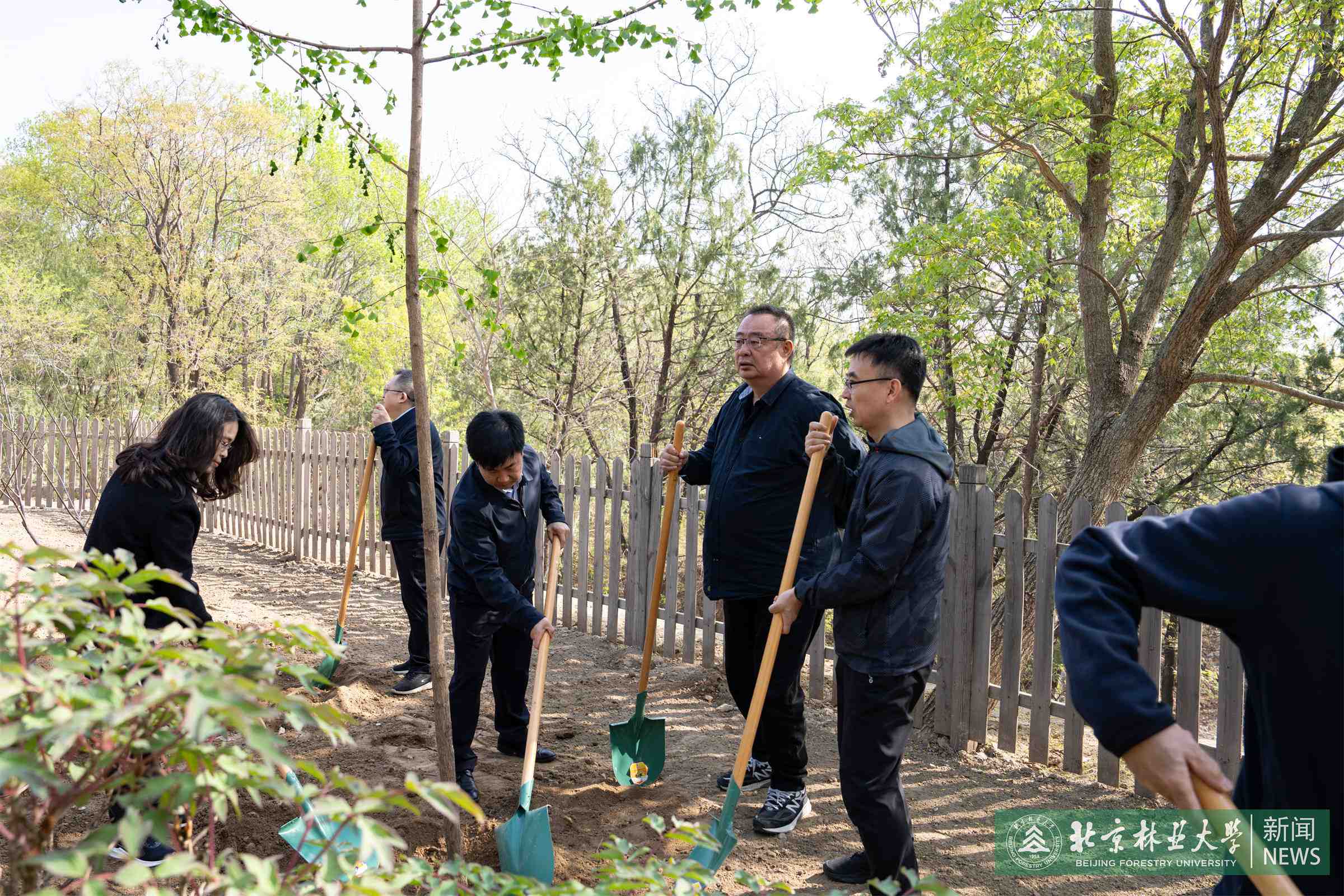 4.10植树-8.jpg