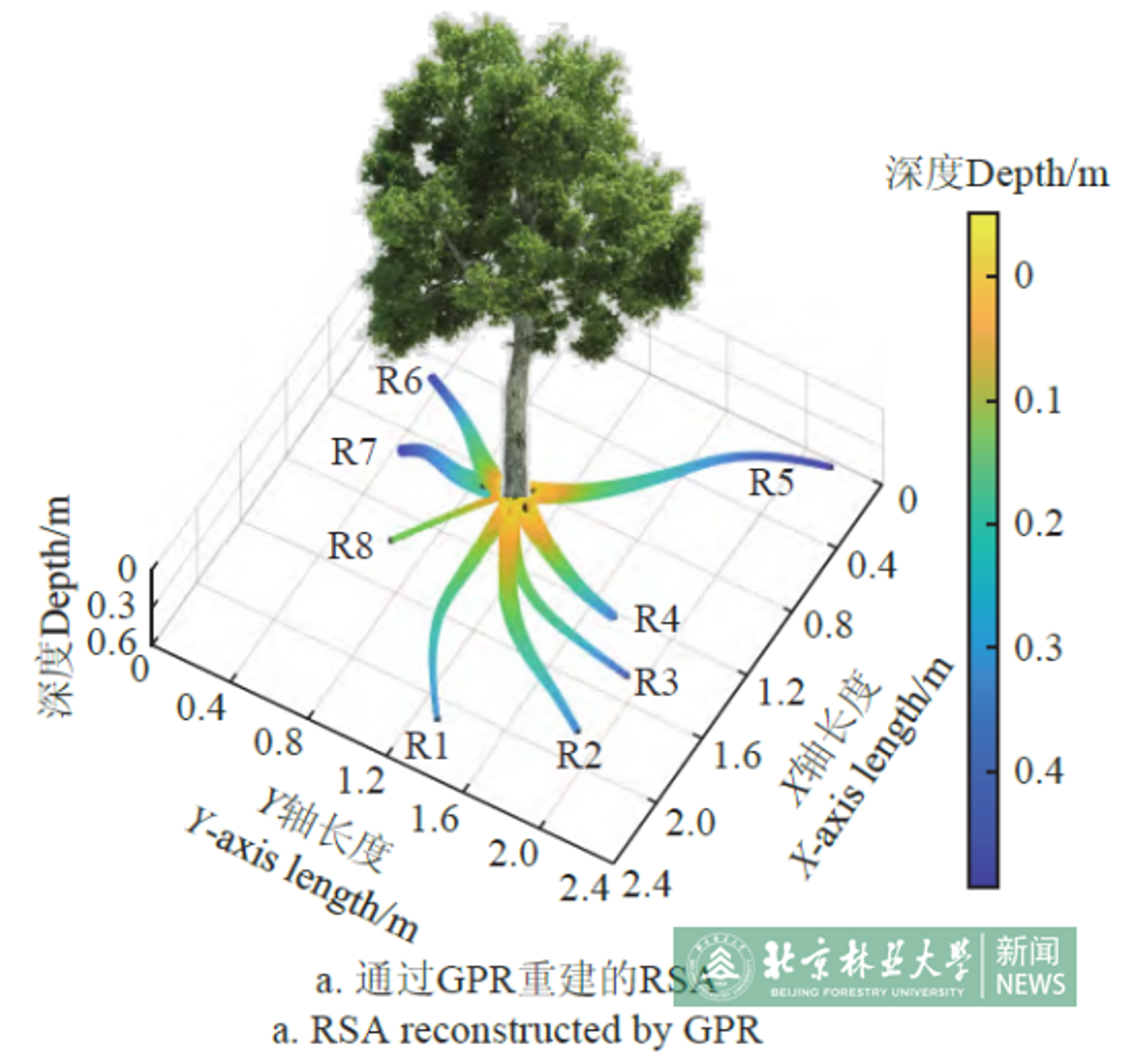 图片 2.png