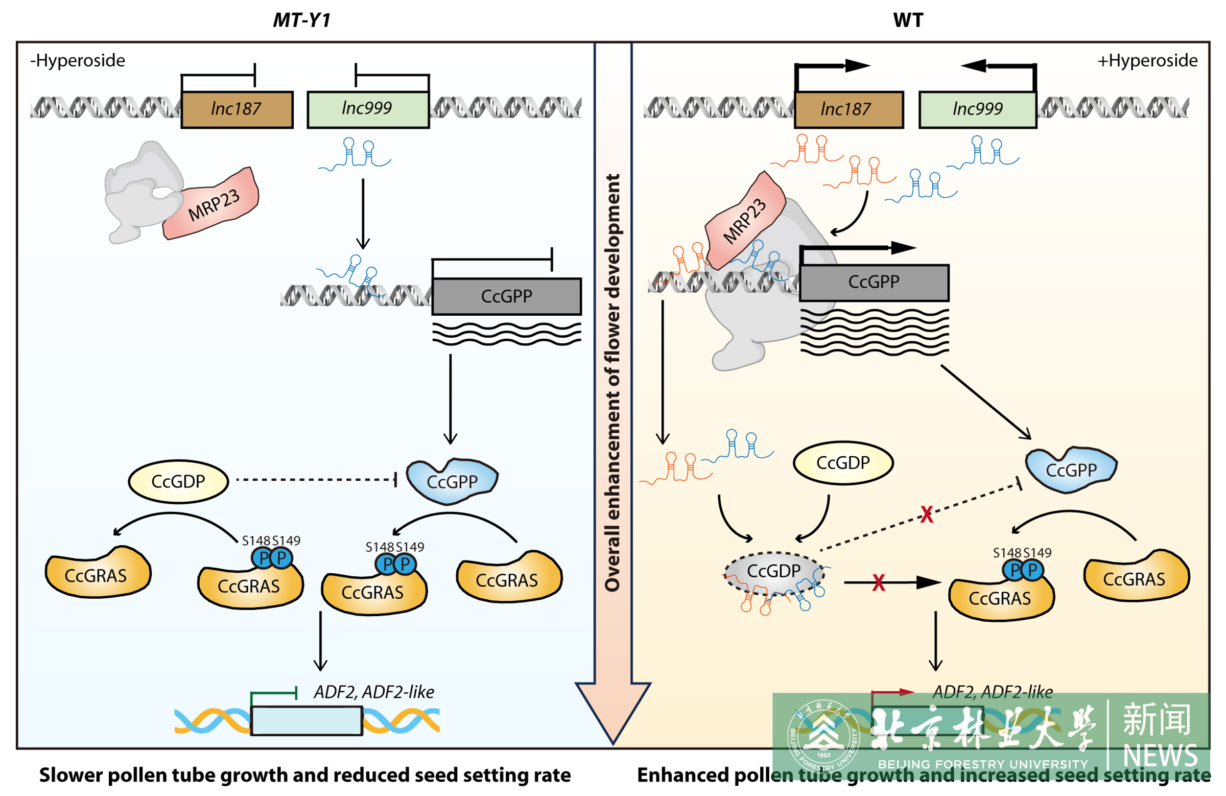 Figure 9.png