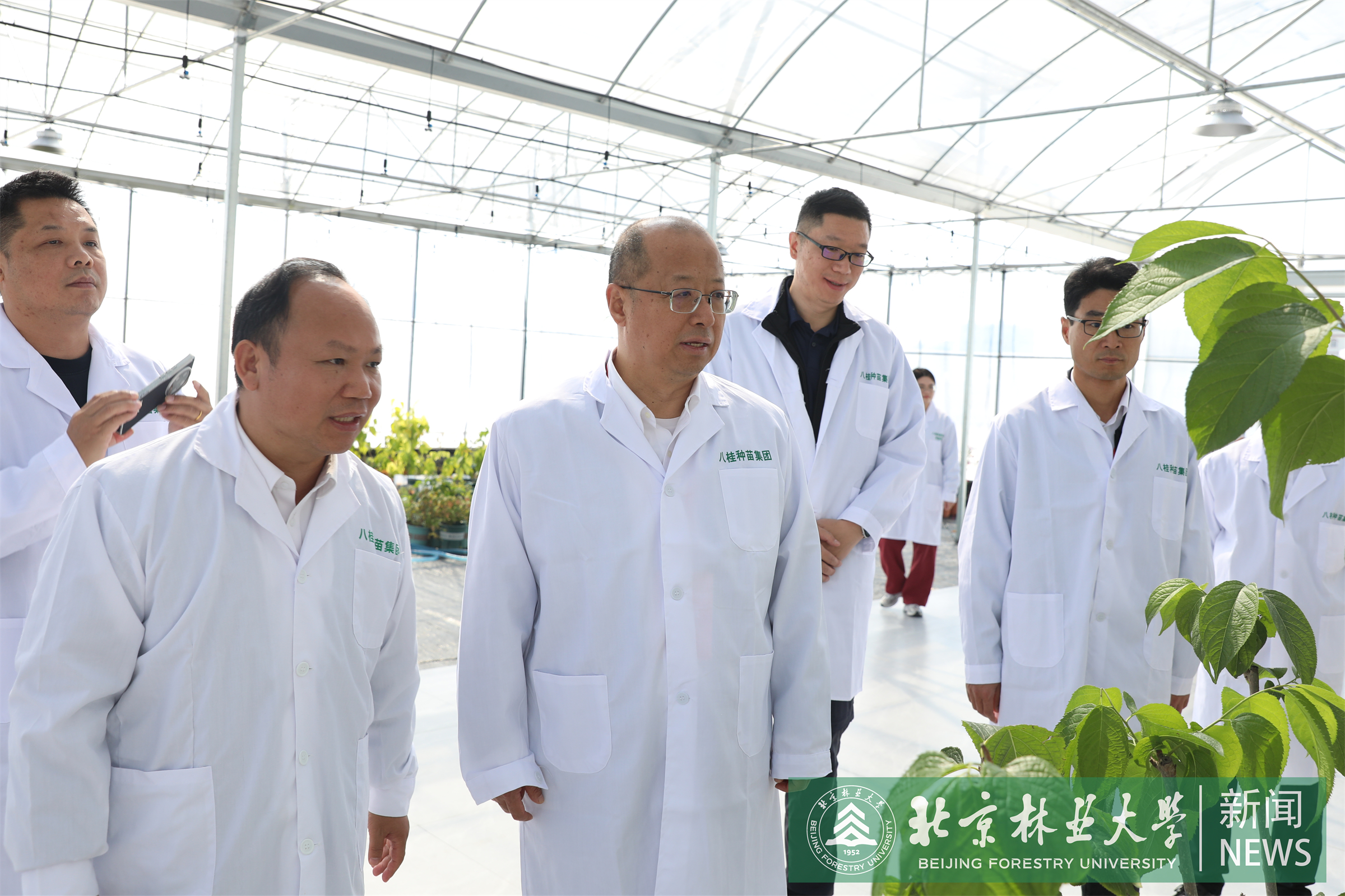 3八桂种苗调研.jpg