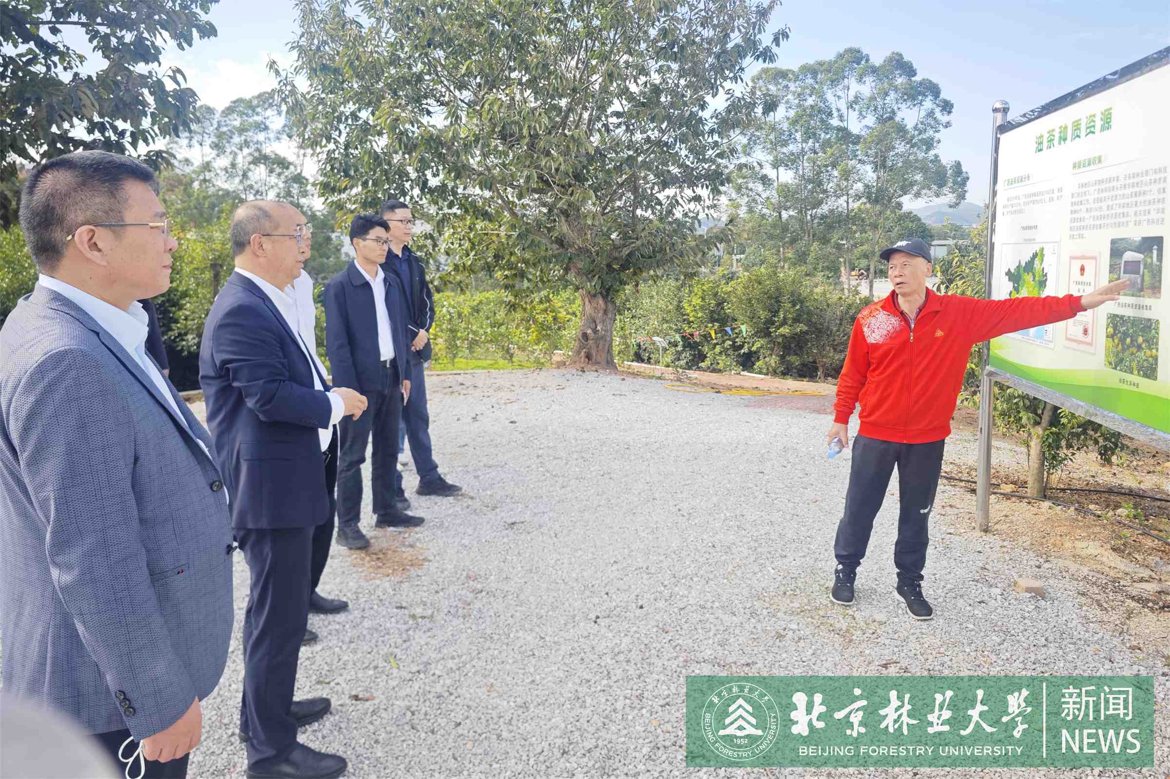 6广西林科院油茶种质资源库.jpg