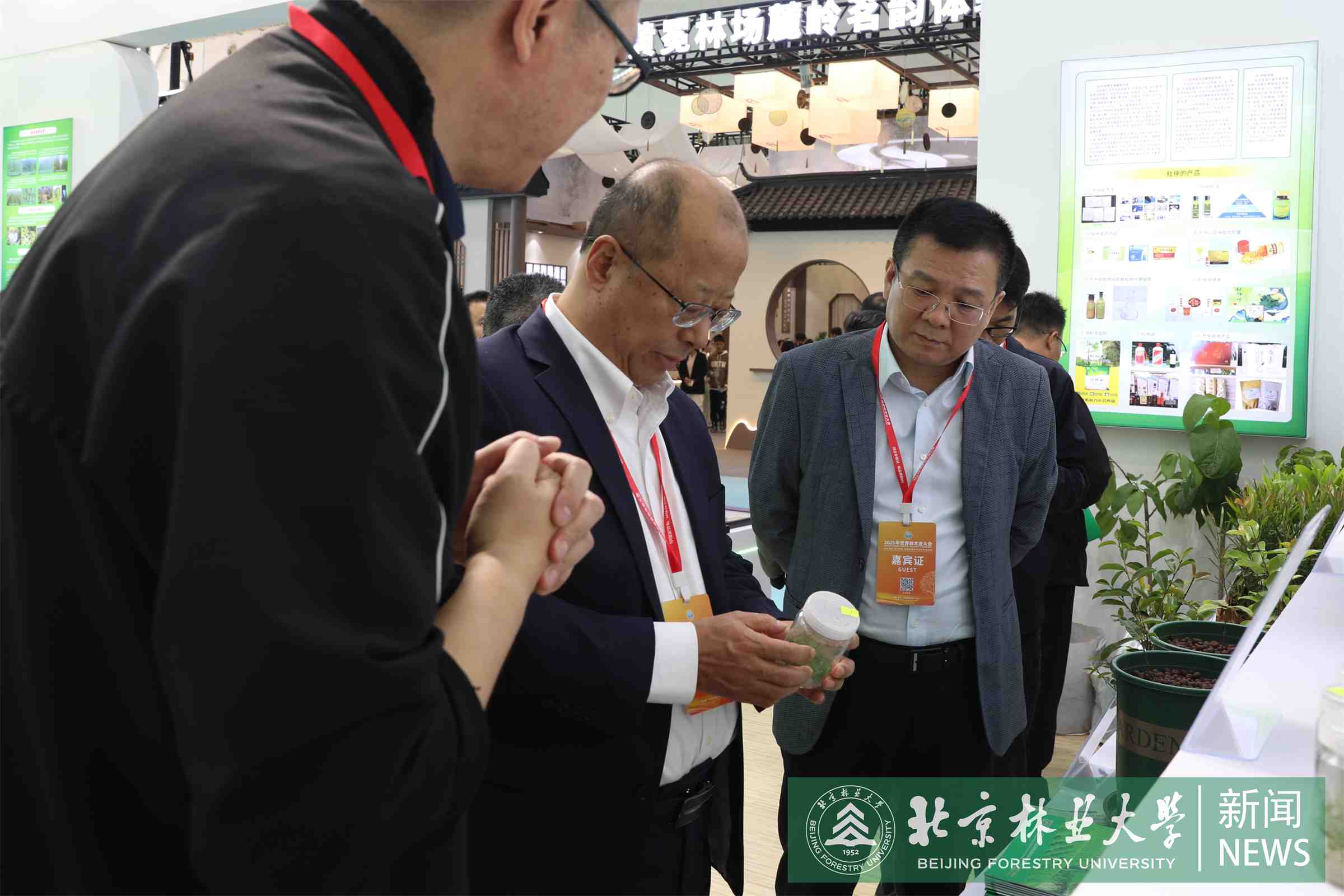 2八桂种苗调研.jpg