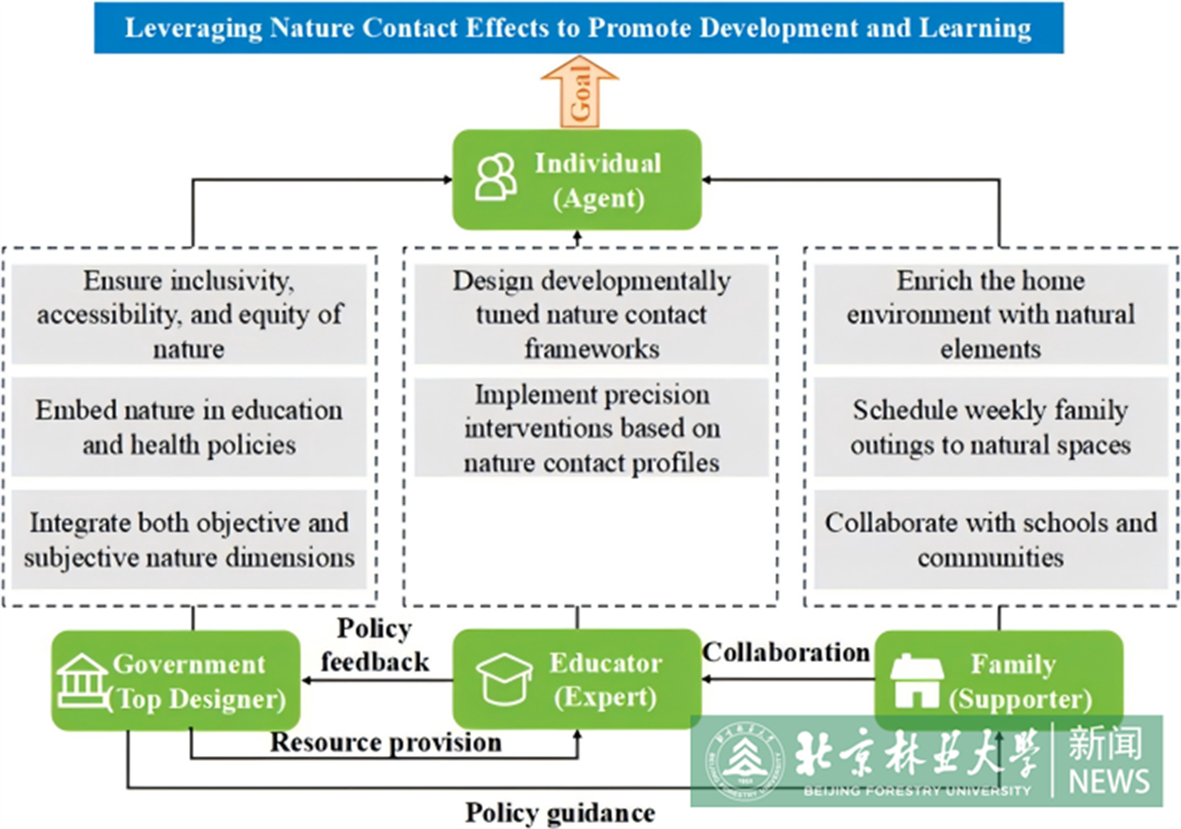 图2 促进通过自然接触助力发展和学习的合作框架.png
