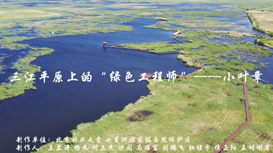 未命名_副本.jpg