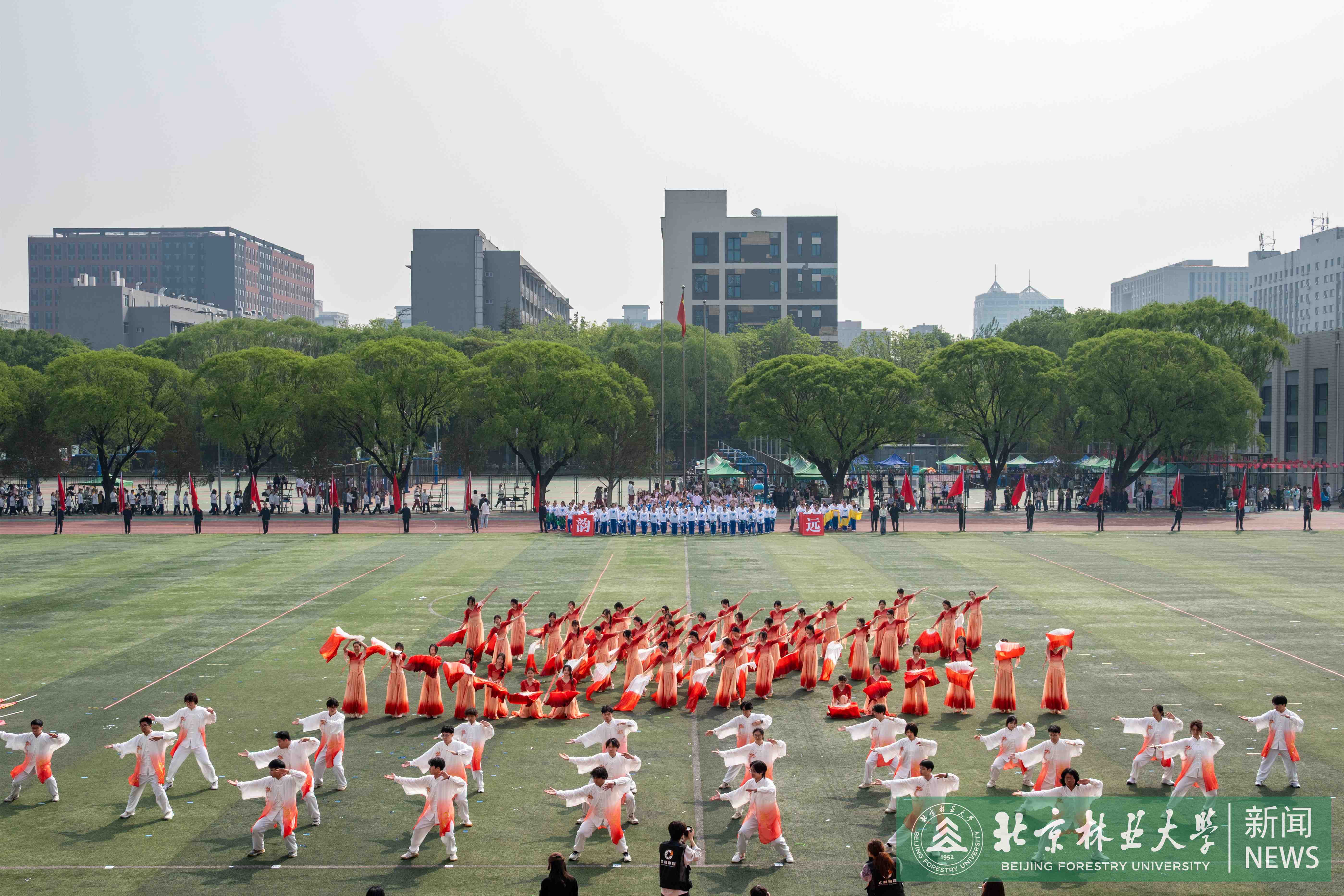DSC_2332.jpg