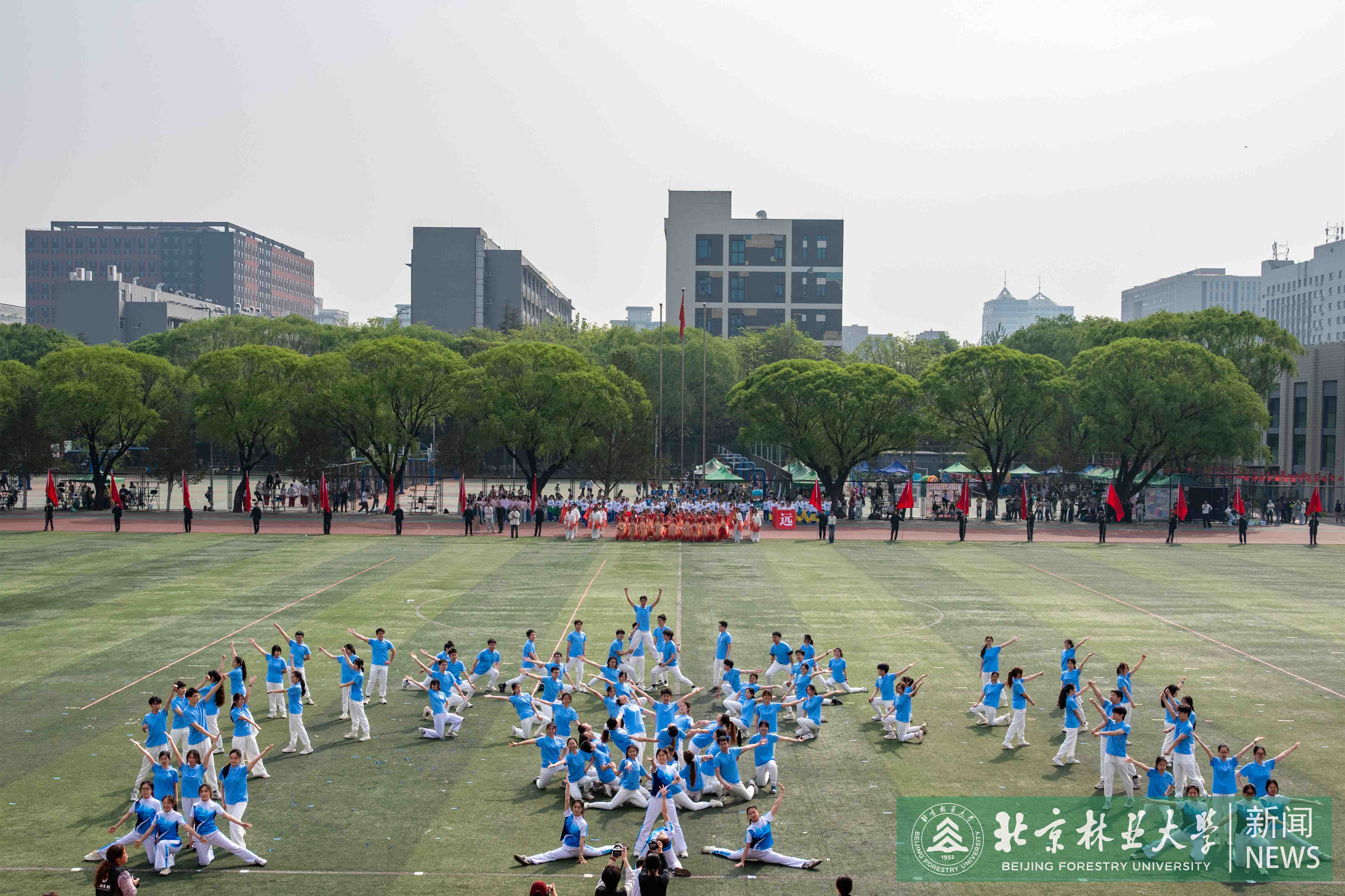 DSC_2327.jpg