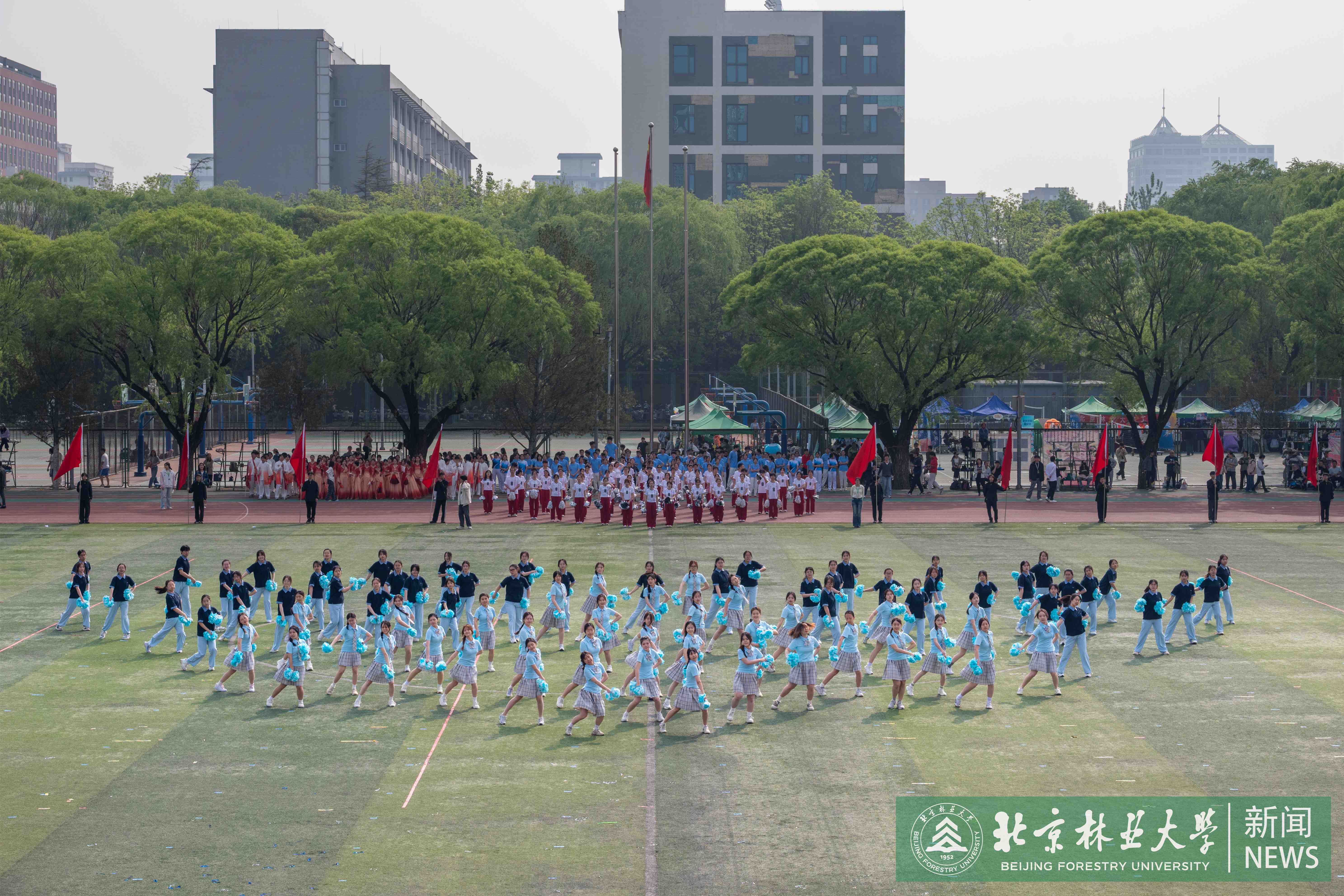 DSC_2258.jpg