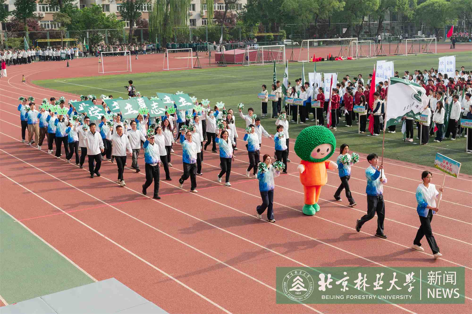 运动会-00298.jpg