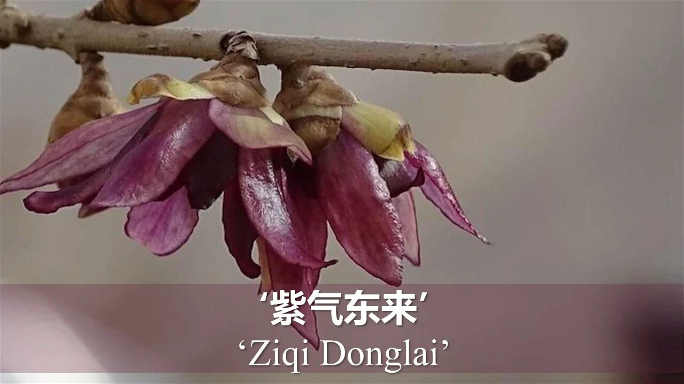 微信图片_2026-04-02_095839_392.jpg