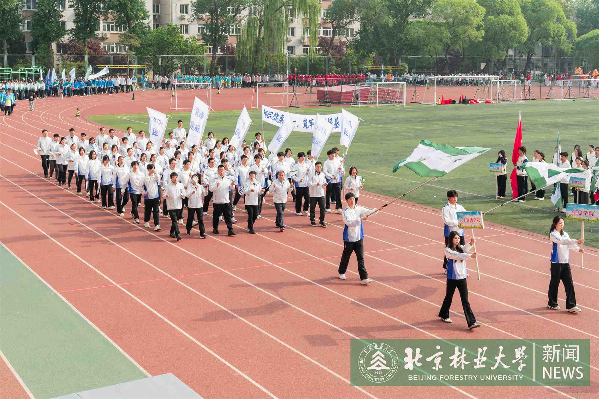 运动会-00213.jpg