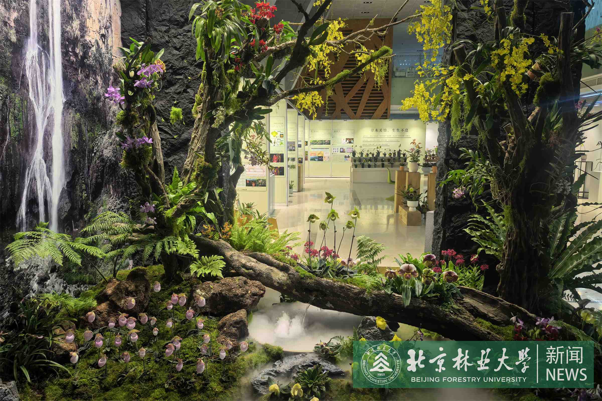 展览景观.jpg