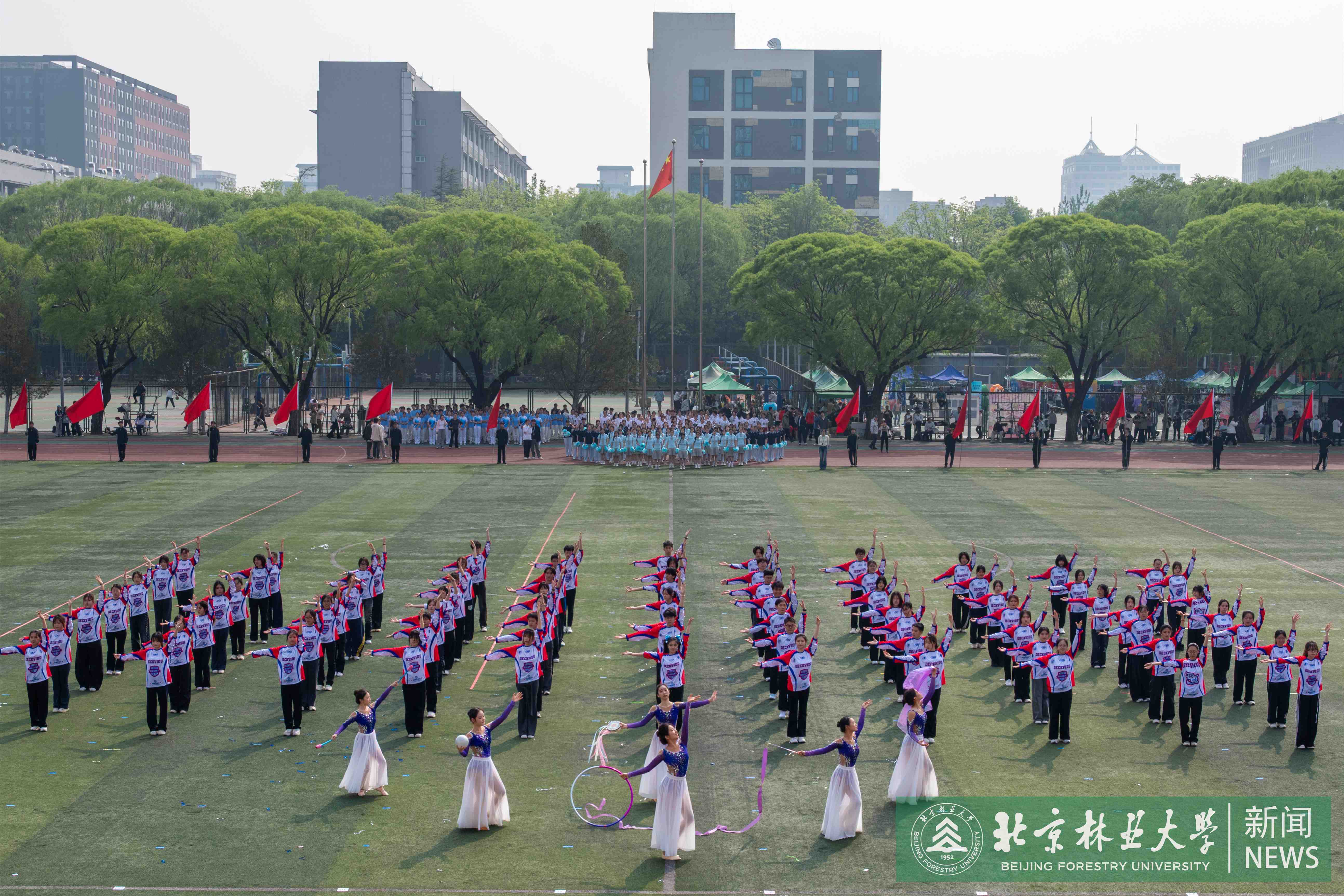 DSC_2237.jpg