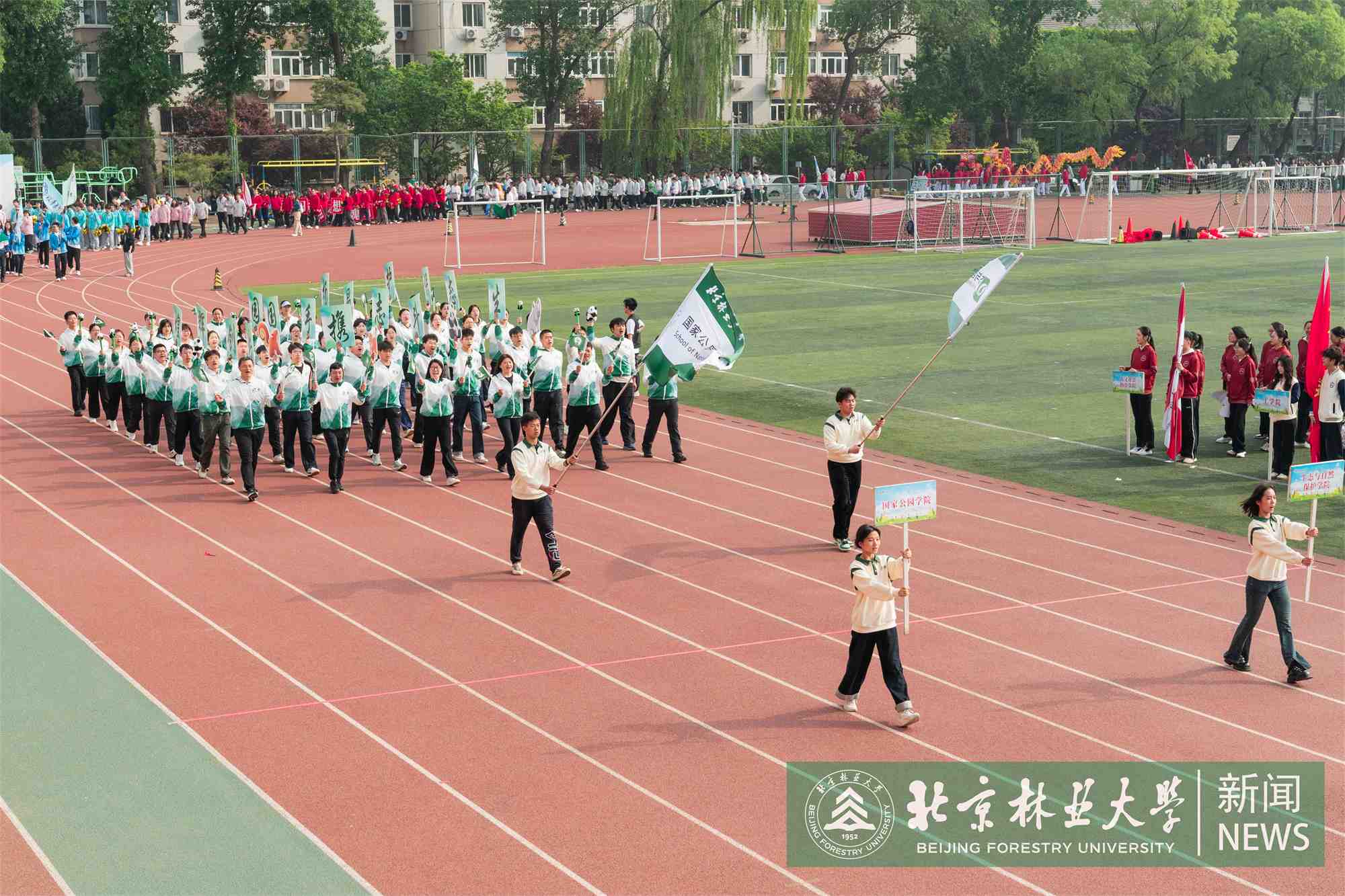 运动会-00239.jpg
