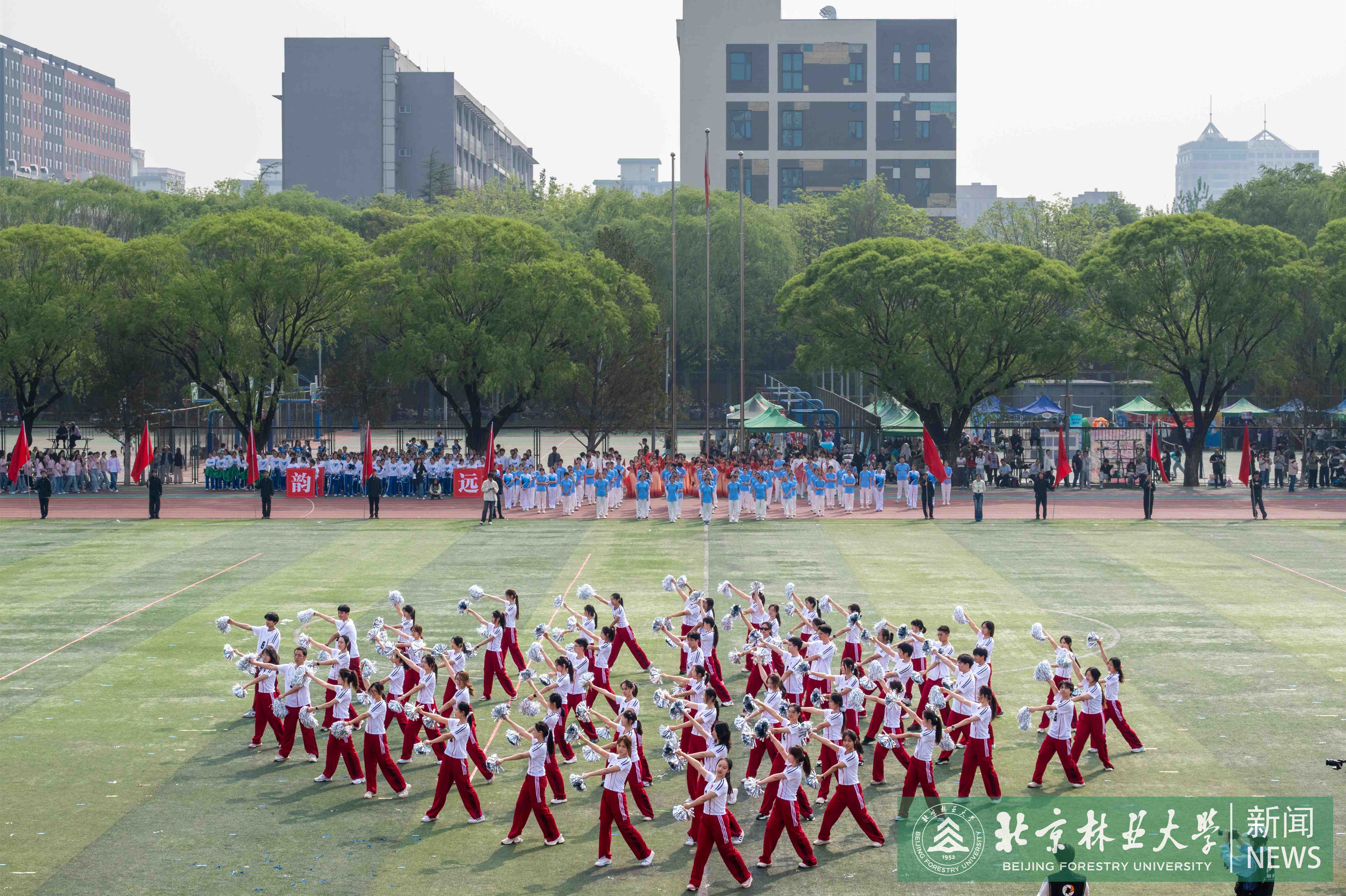 DSC_2286.jpg