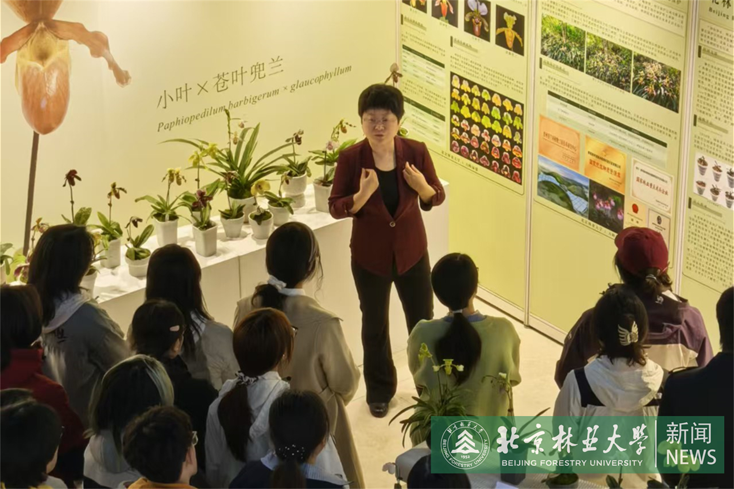 在展览现场授课.jpg