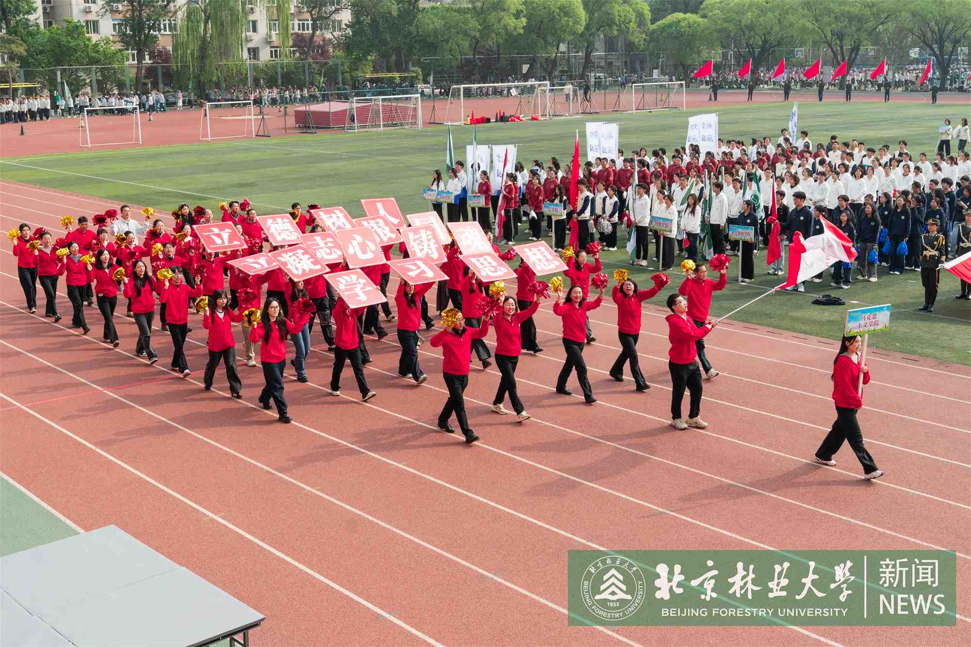 运动会-00284.jpg