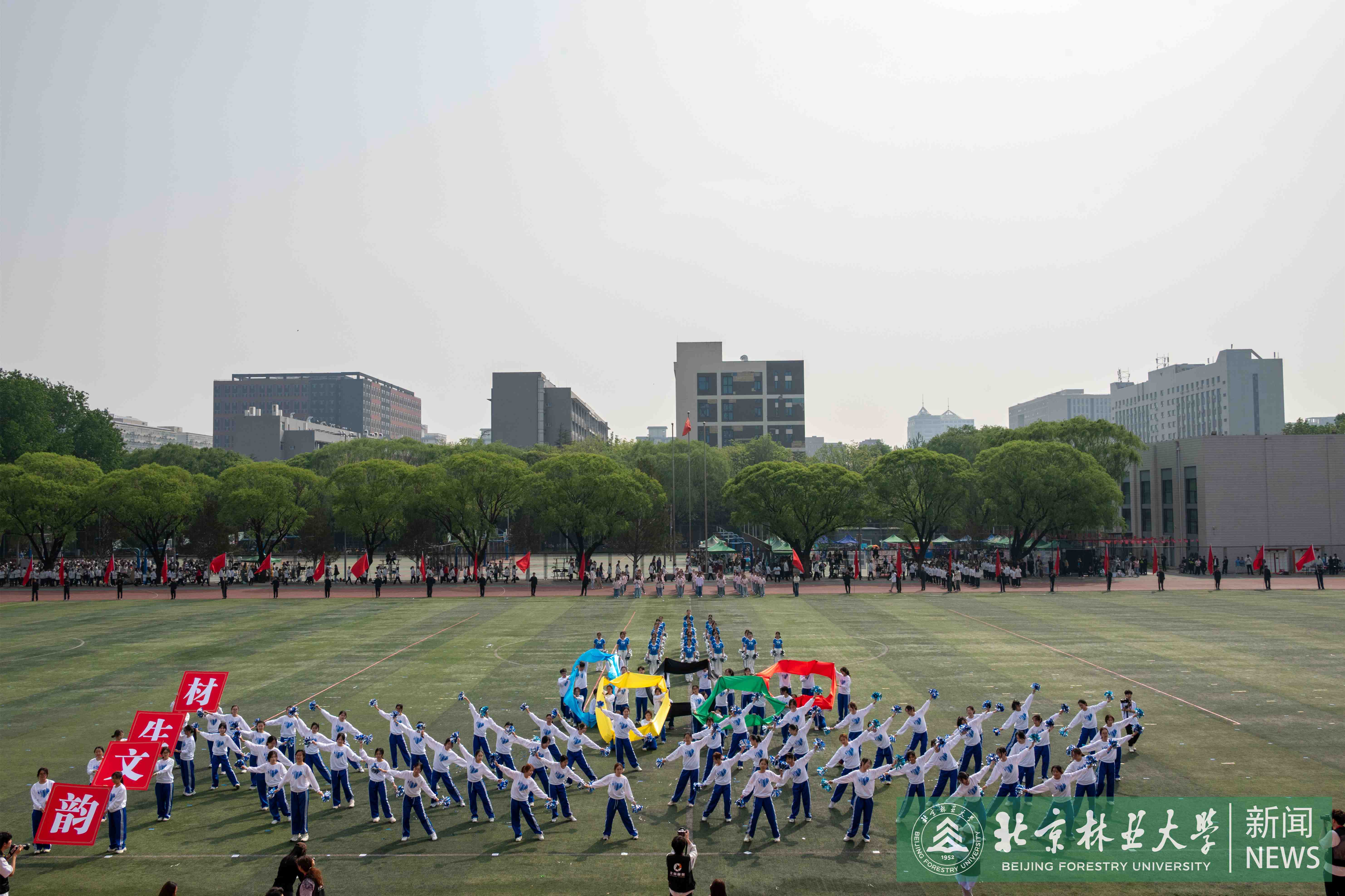 DSC_2381.jpg