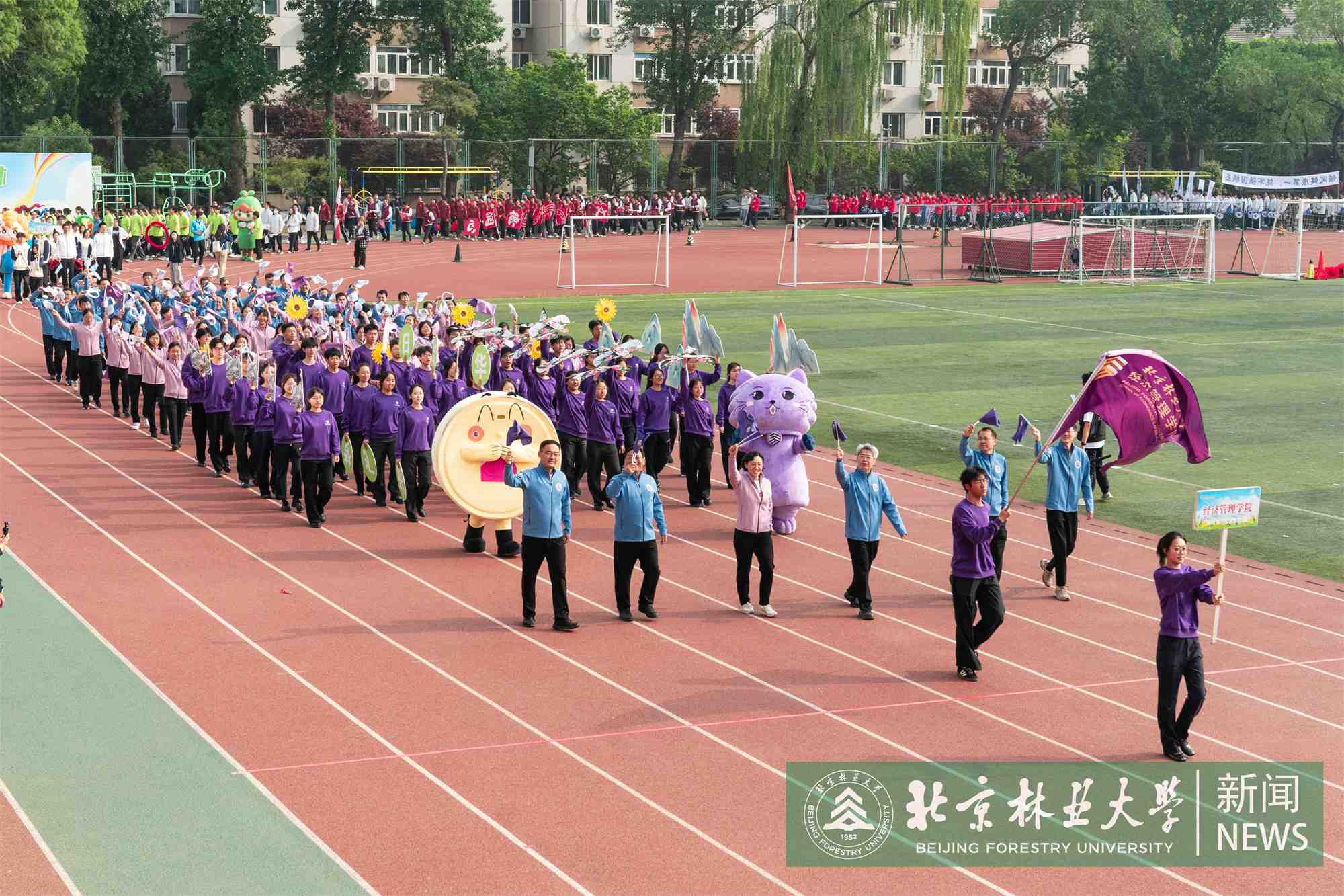 运动会-00144.jpg