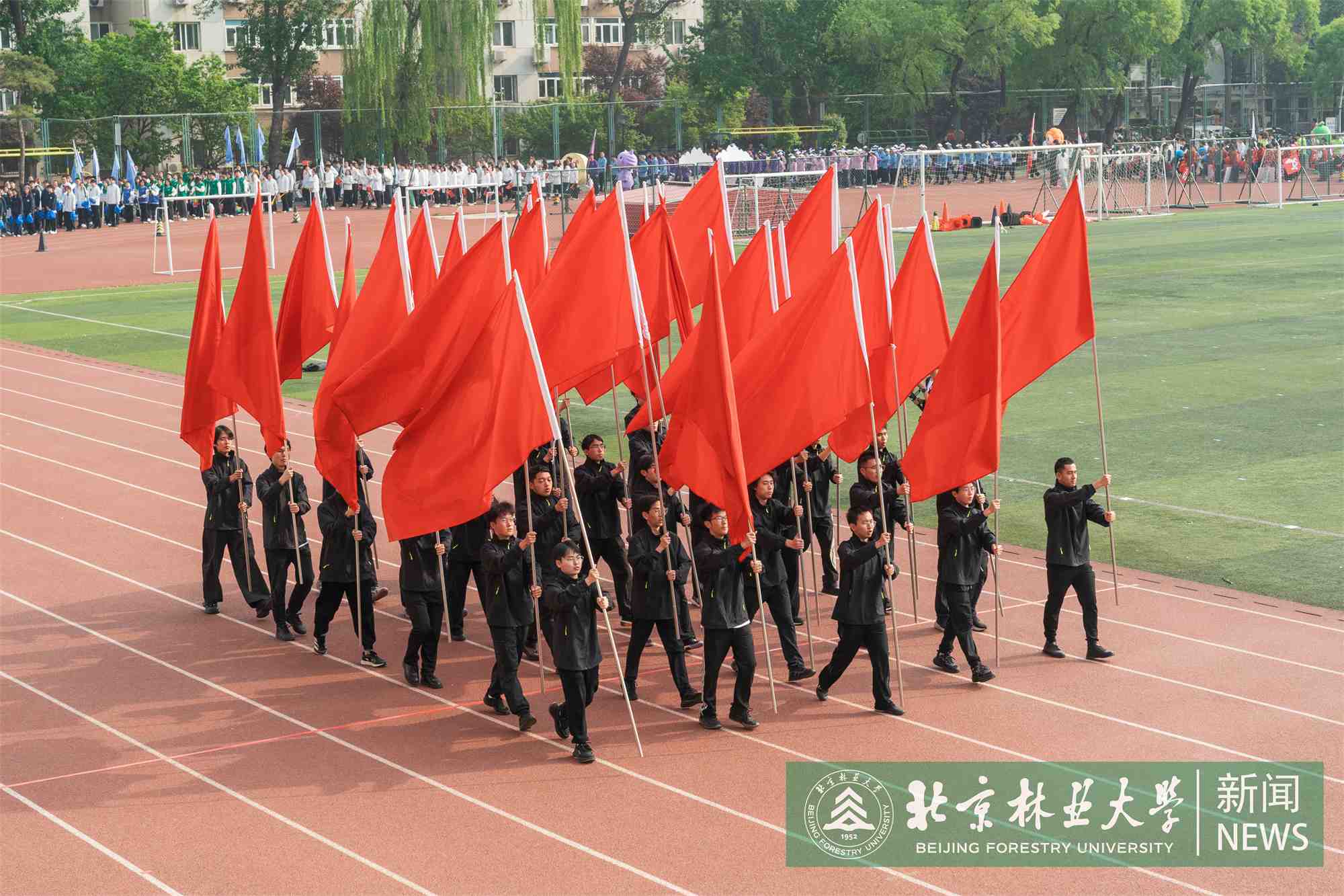 运动会-00053.jpg