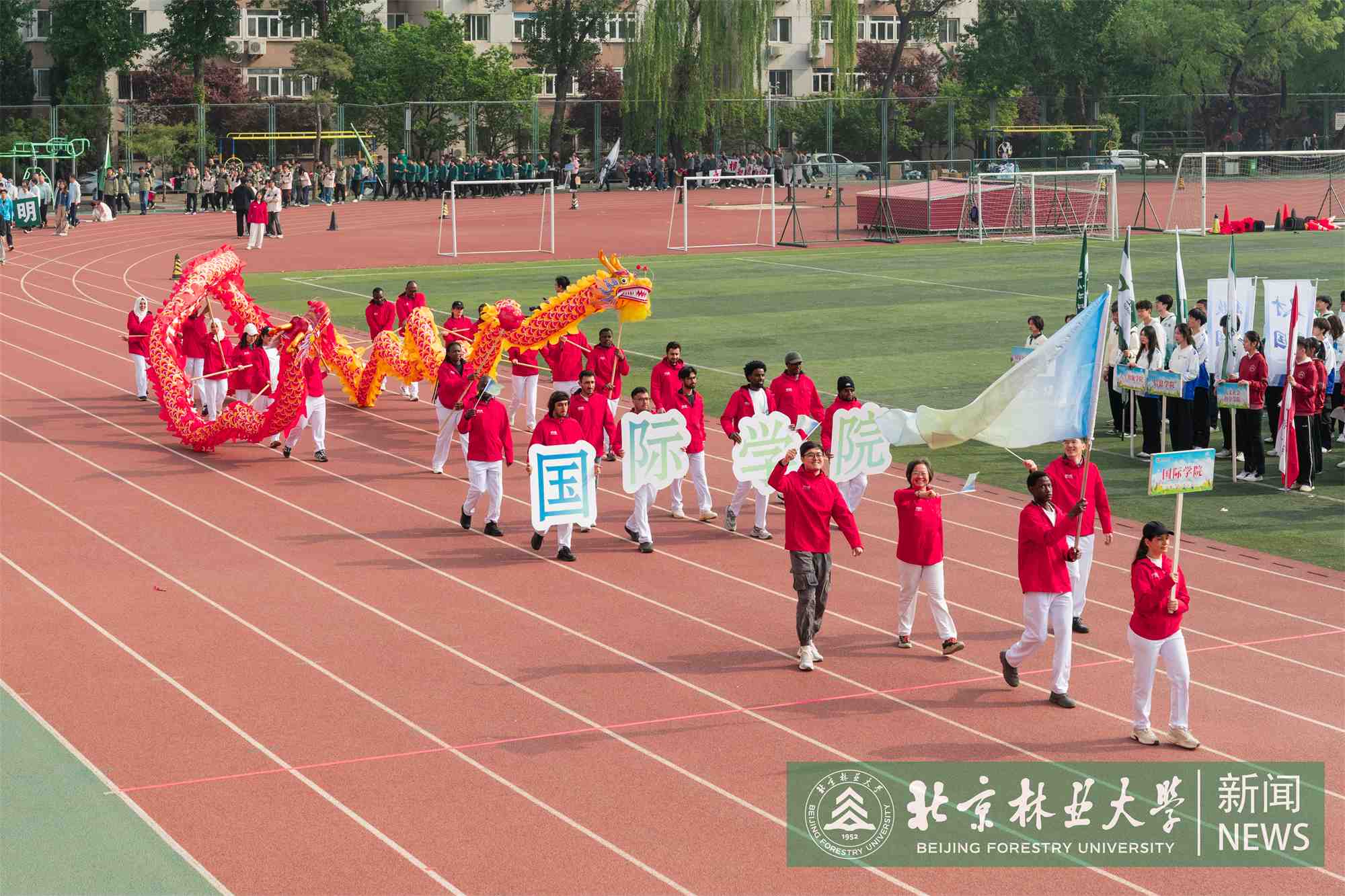 运动会-00307.jpg