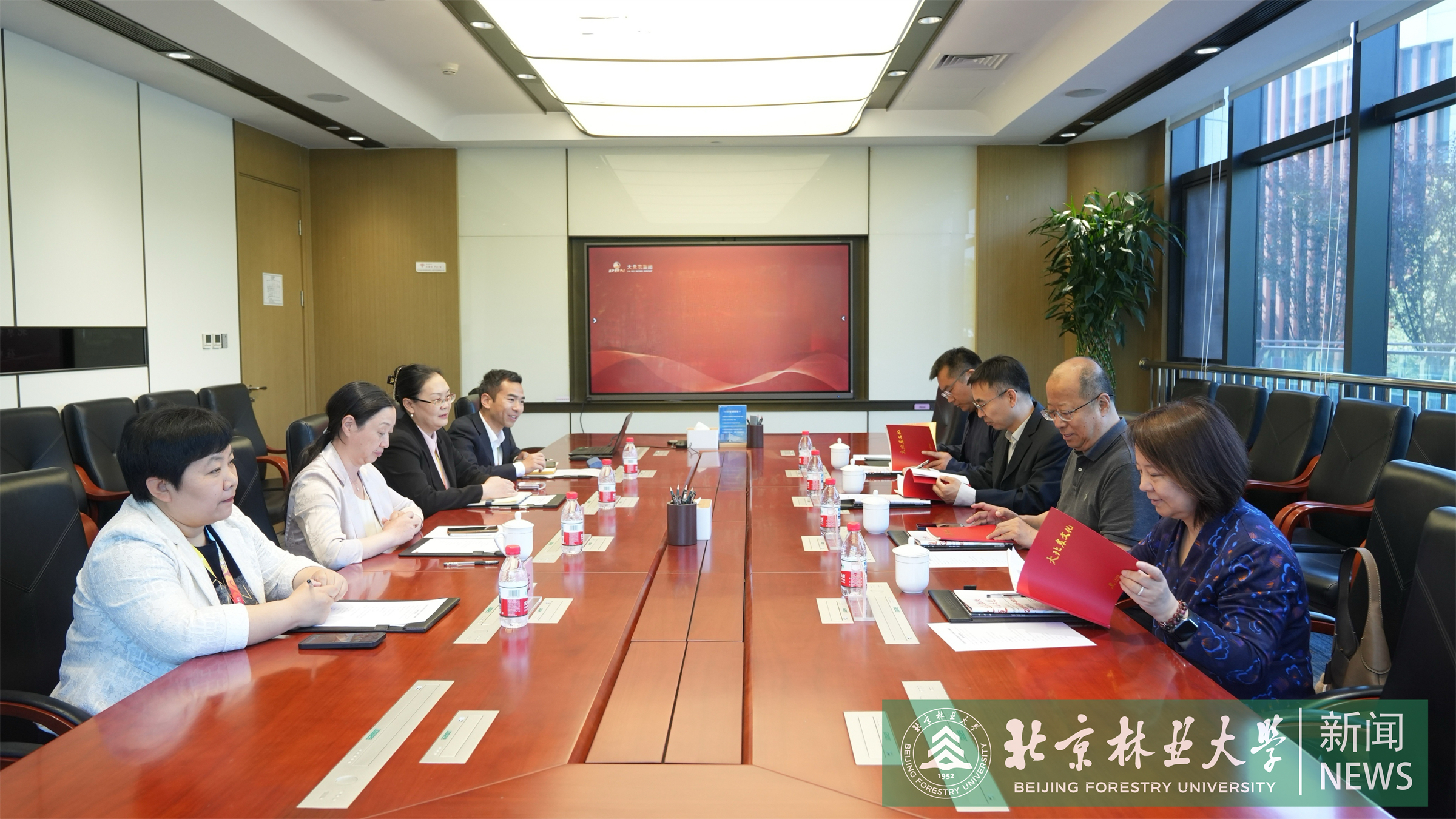 微信图片_20260512090228_82_55_副本.jpg