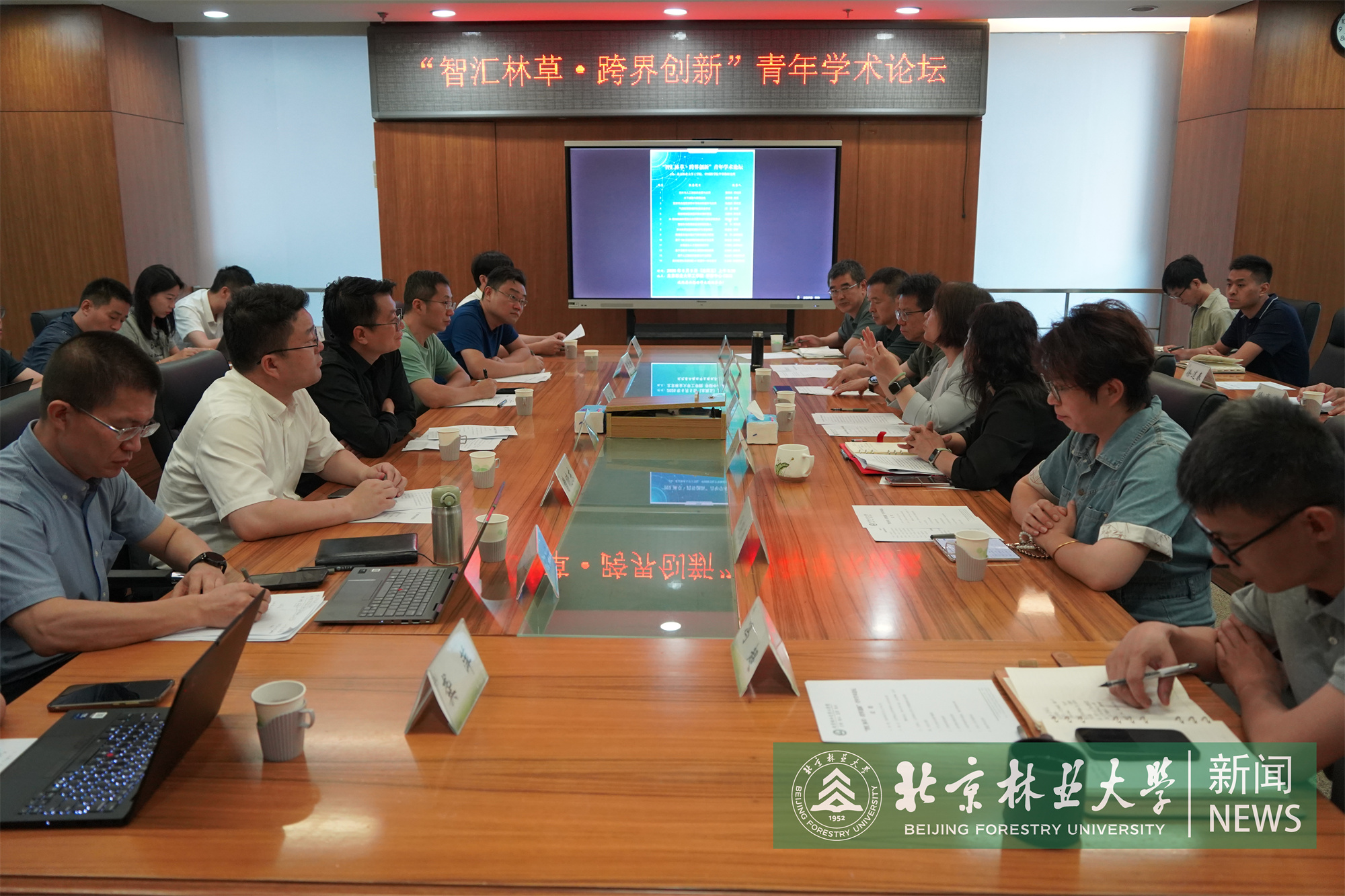 微信图片_20260605181155_4562_19.jpg