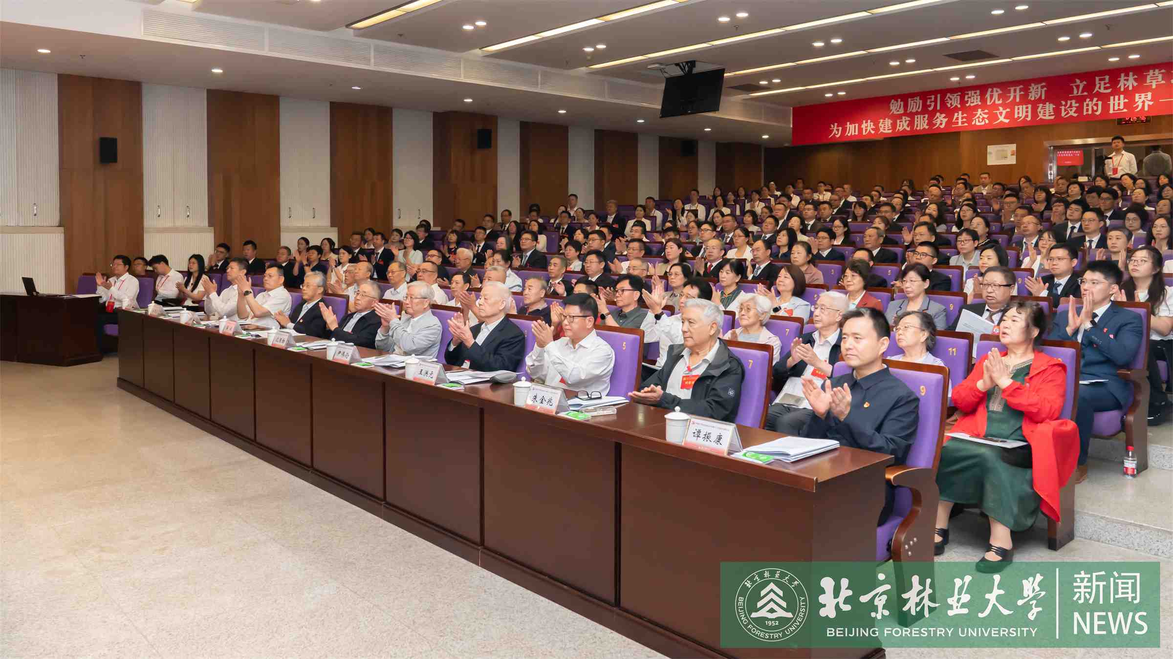 代表全景2.jpg