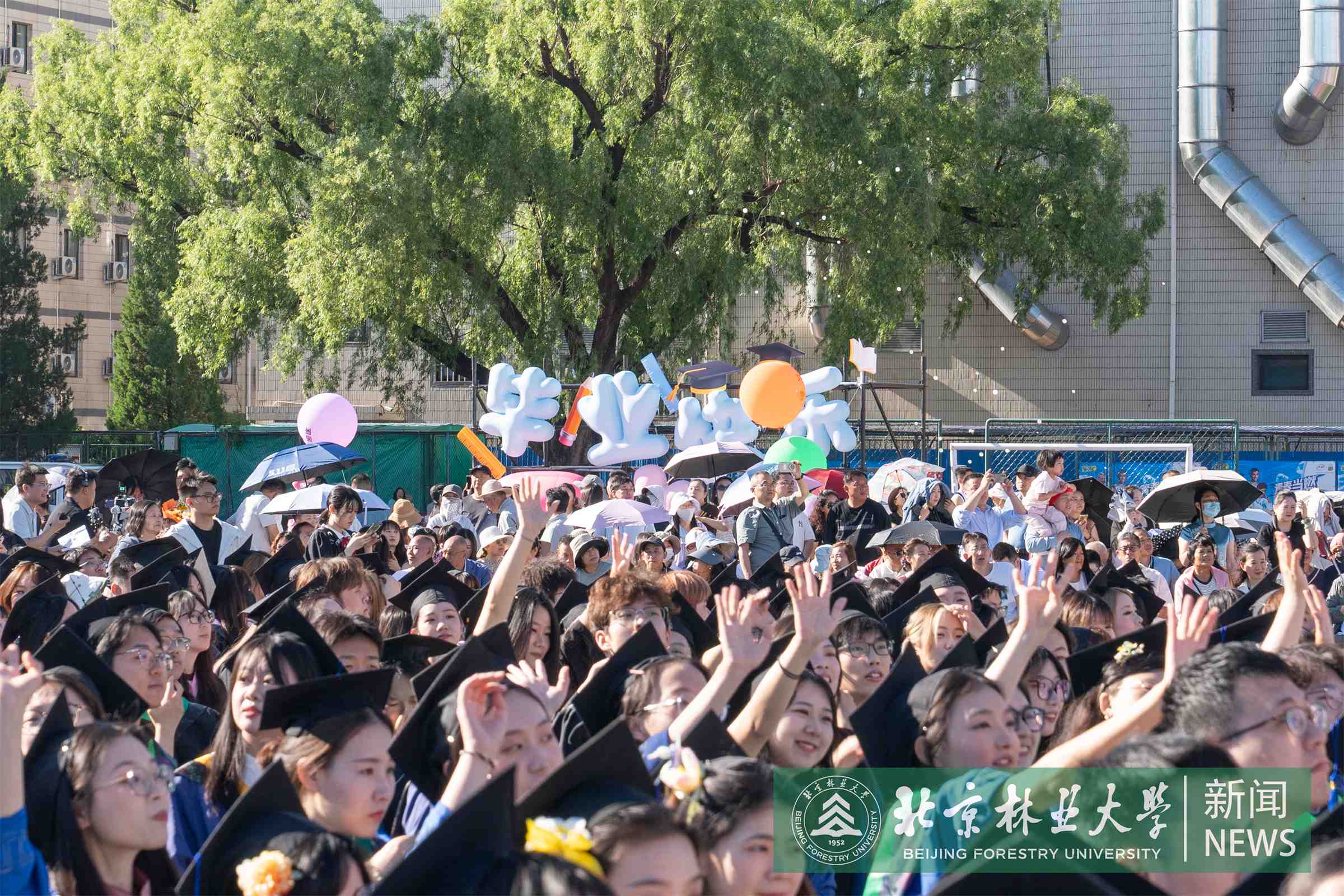 毕业典礼-00143.jpg