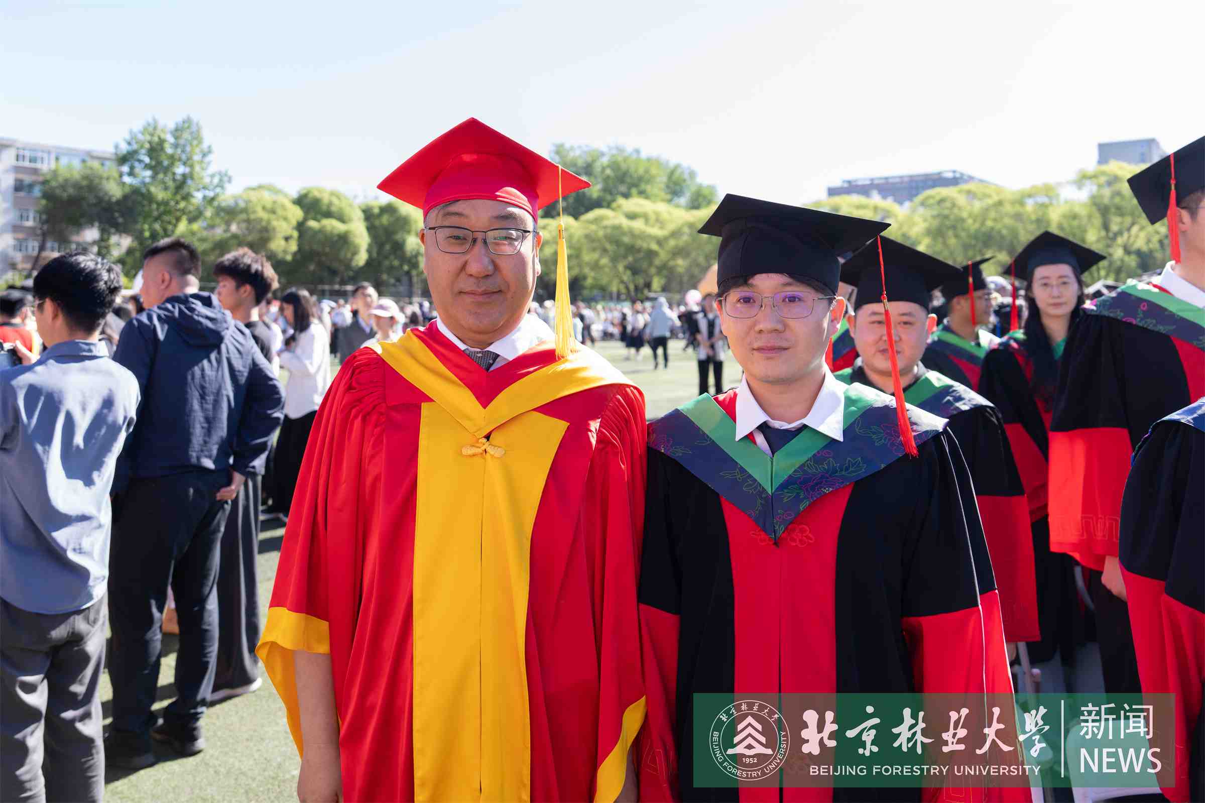 王涛.jpg