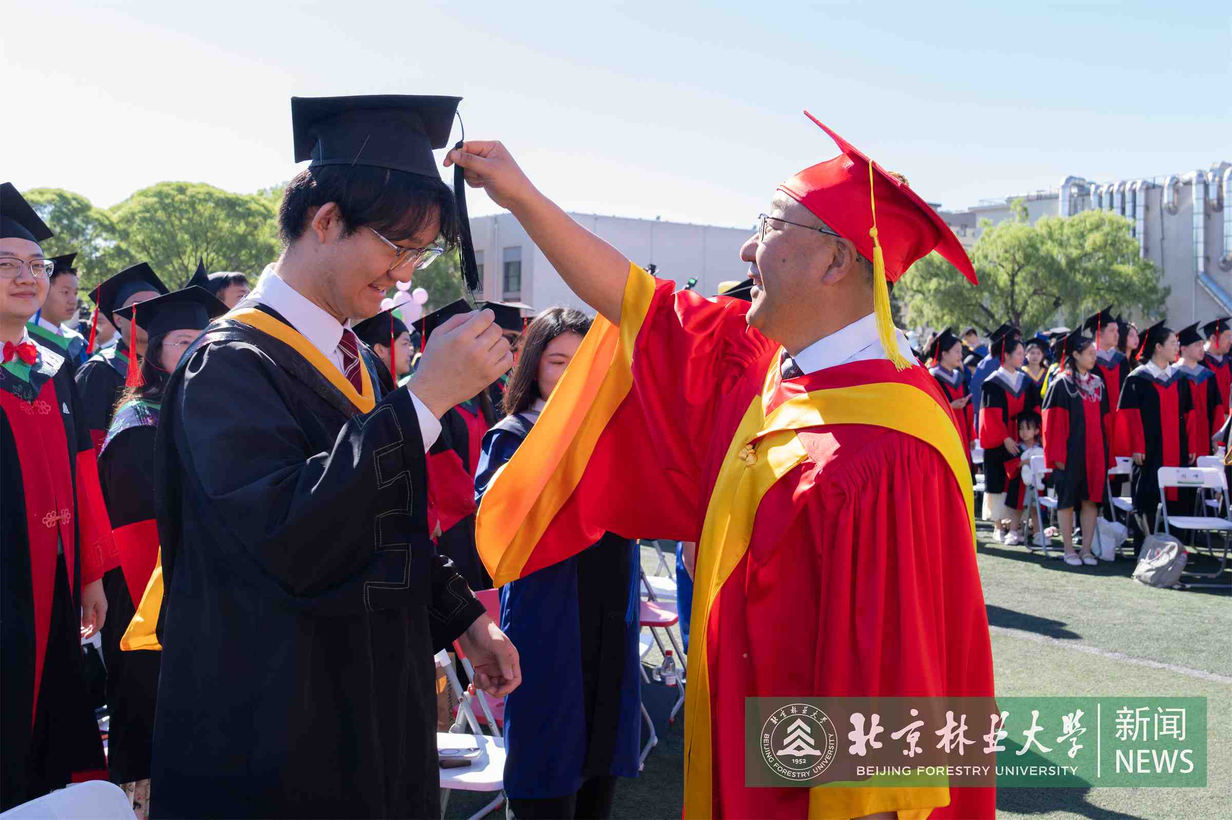 王涛拨穗2.jpg