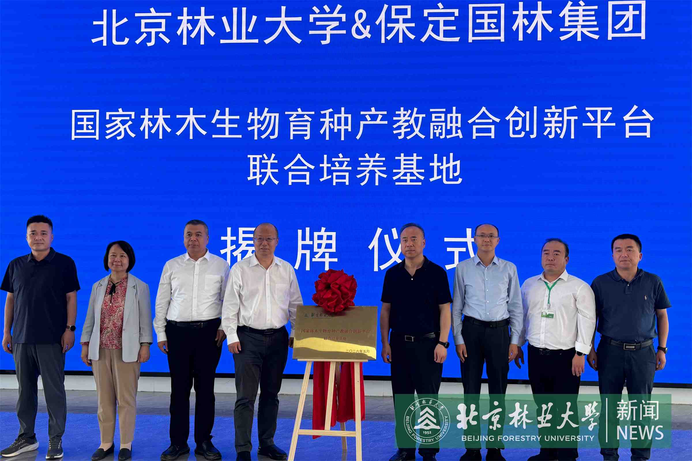 微信图片_20260604164231_17_546_副本.jpg