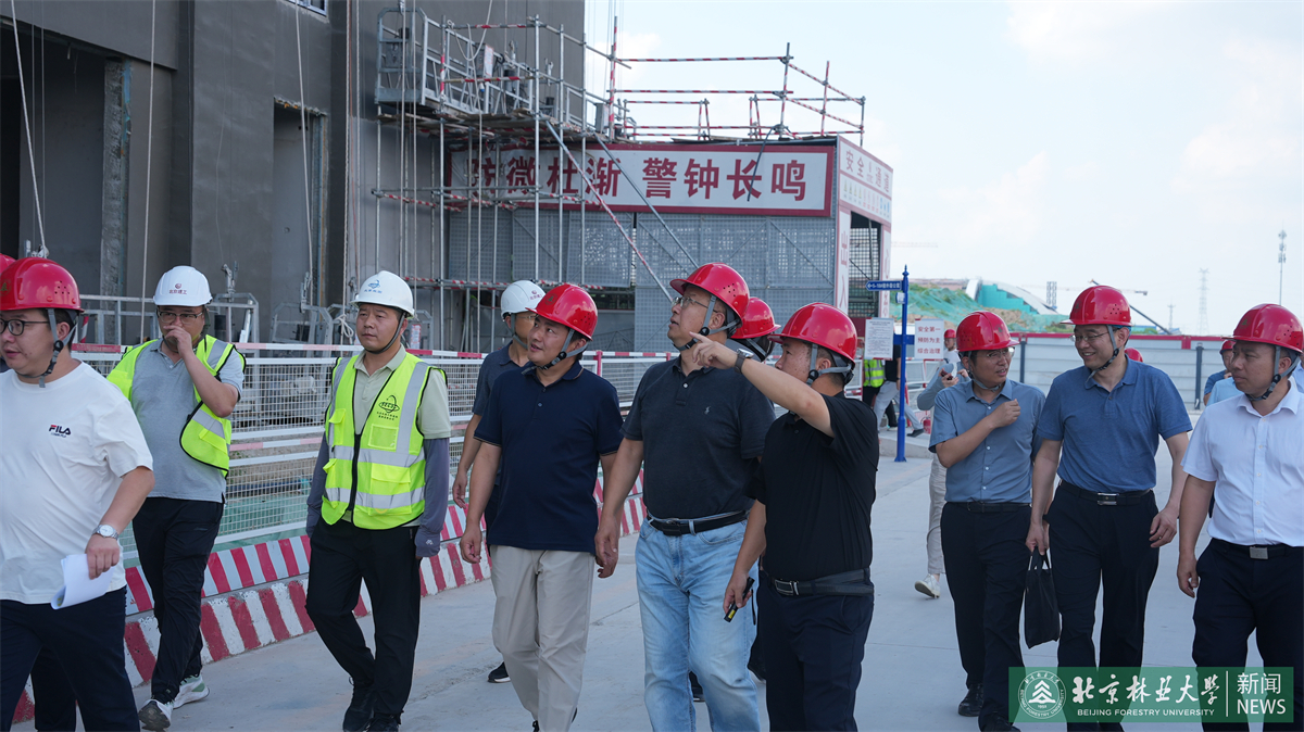 MMC07250.jpg