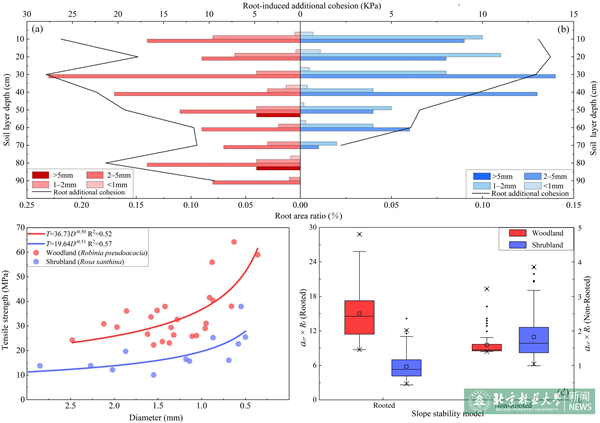 Figure 10.jpg