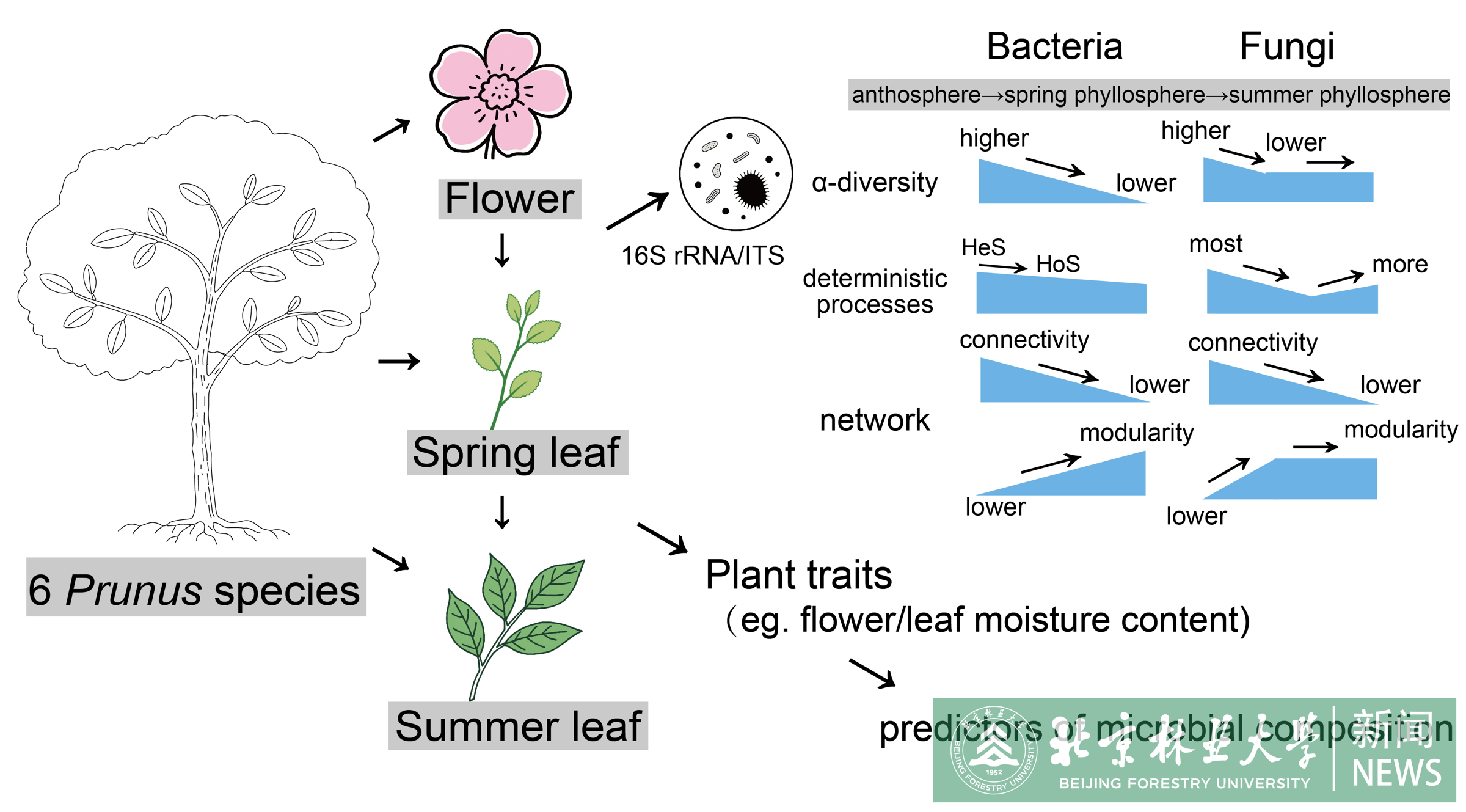 12.png
